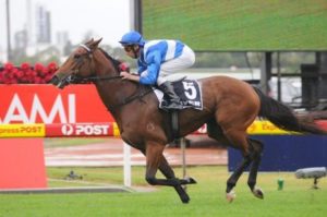 More Joyous winning the Canterbury Stakes at Rosehill racecourse - Photo by Steve Hart