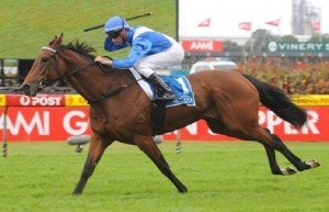 More Joyous winning the Queen of the Turf Stakes at Rosehill racecourse on Saturday - Photo by Steve Hart