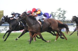 Ofcourseican rates well in tomorrow's Sapphire Stakes at Randwick racecourse - Photo by Steve Hart