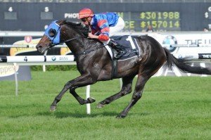 pierro-champagne-stakes-2012