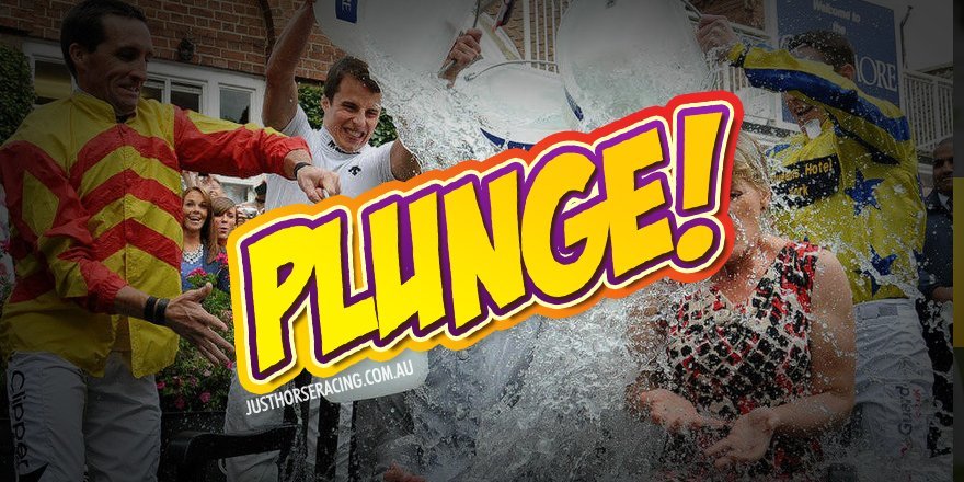 plunge3 | Just Horse Racing