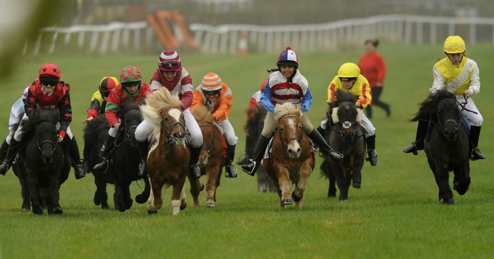 Plumpton Races | Just Horse Racing