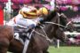 Preferment - Turnbull Stakes