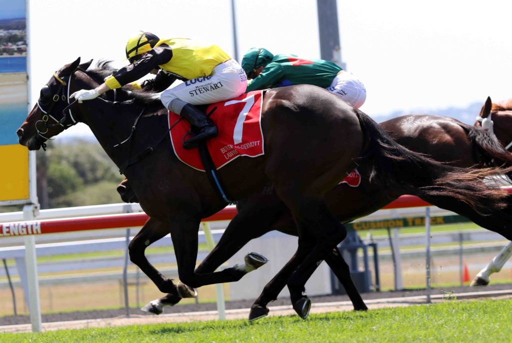 race 1 Pinch Passion | Just Horse Racing