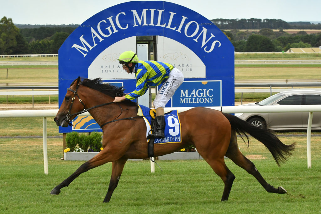 race 4-LaPommeDePin-2511173727 | Just Horse Racing