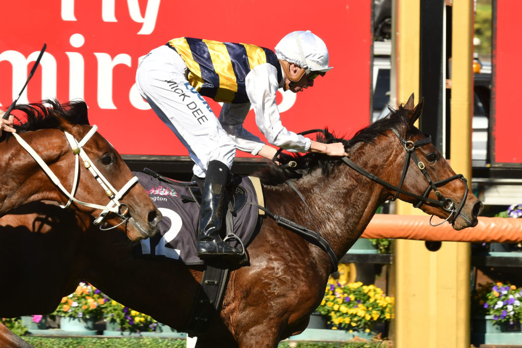 Aloisia | Just Horse Racing