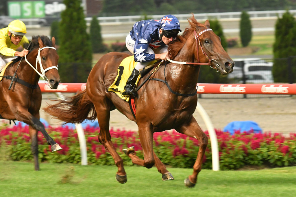 Native Soldier | Just Horse Racing