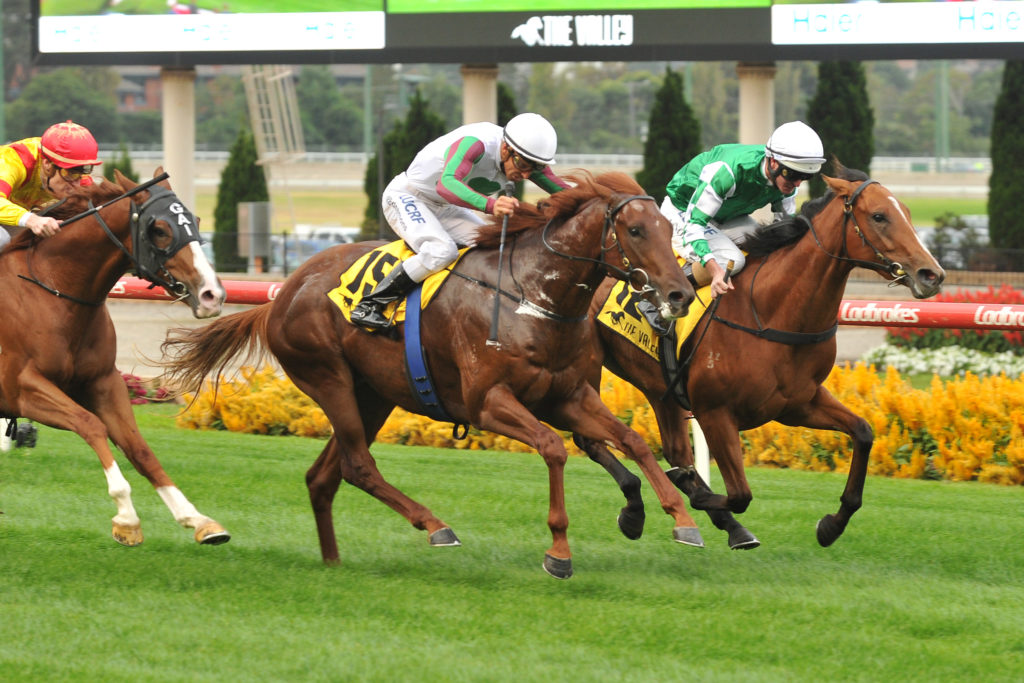 Yulong Monoceros | Just Horse Racing
