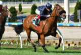 Tulip - Blue Diamond Stakes