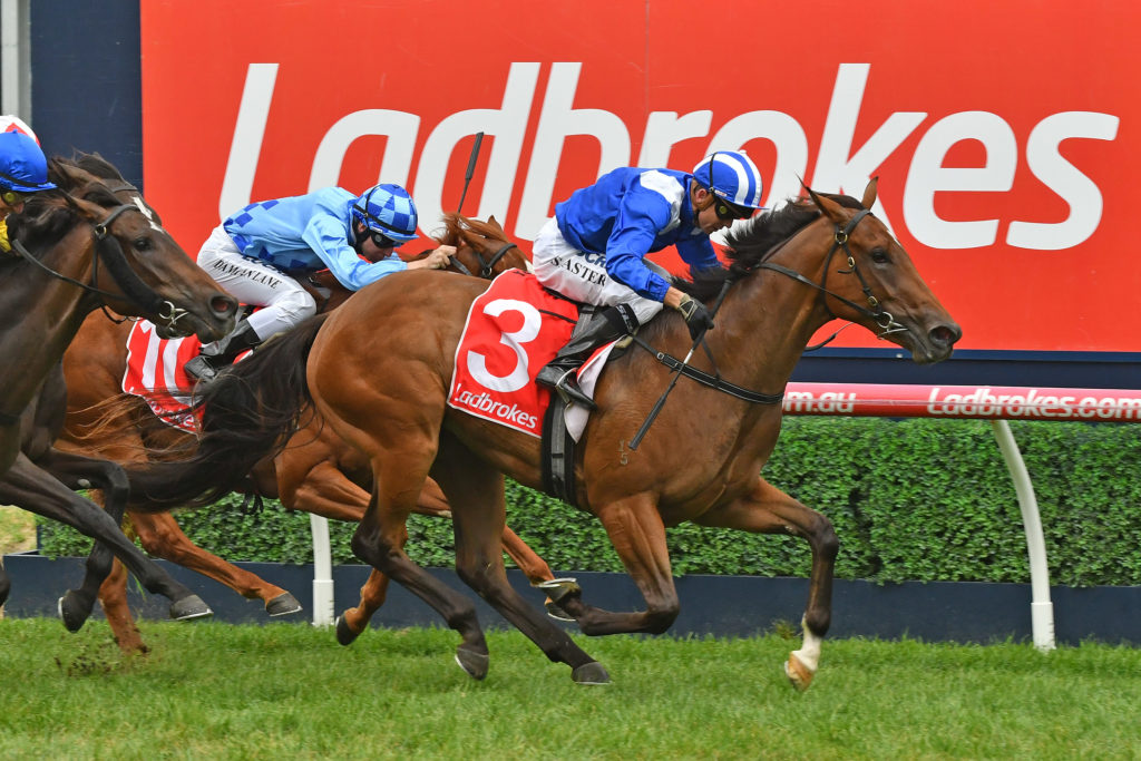 Enbihaar | Just Horse Racing