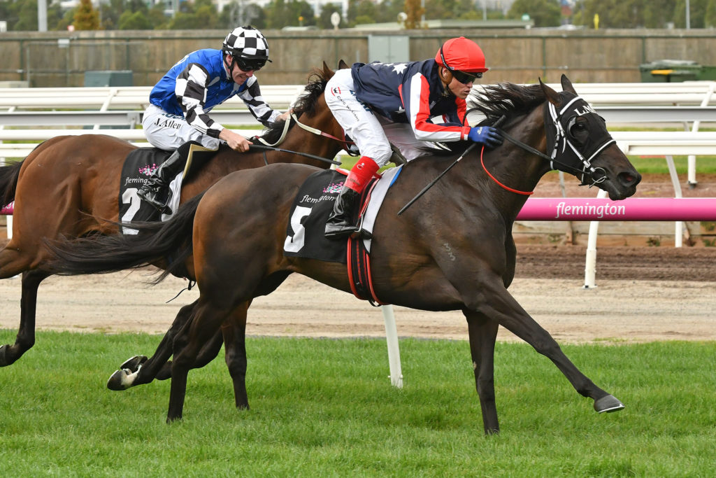 Pretty Punk | Just Horse Racing