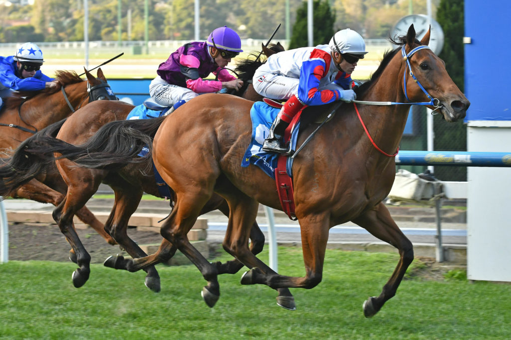 Ability | Just Horse Racing