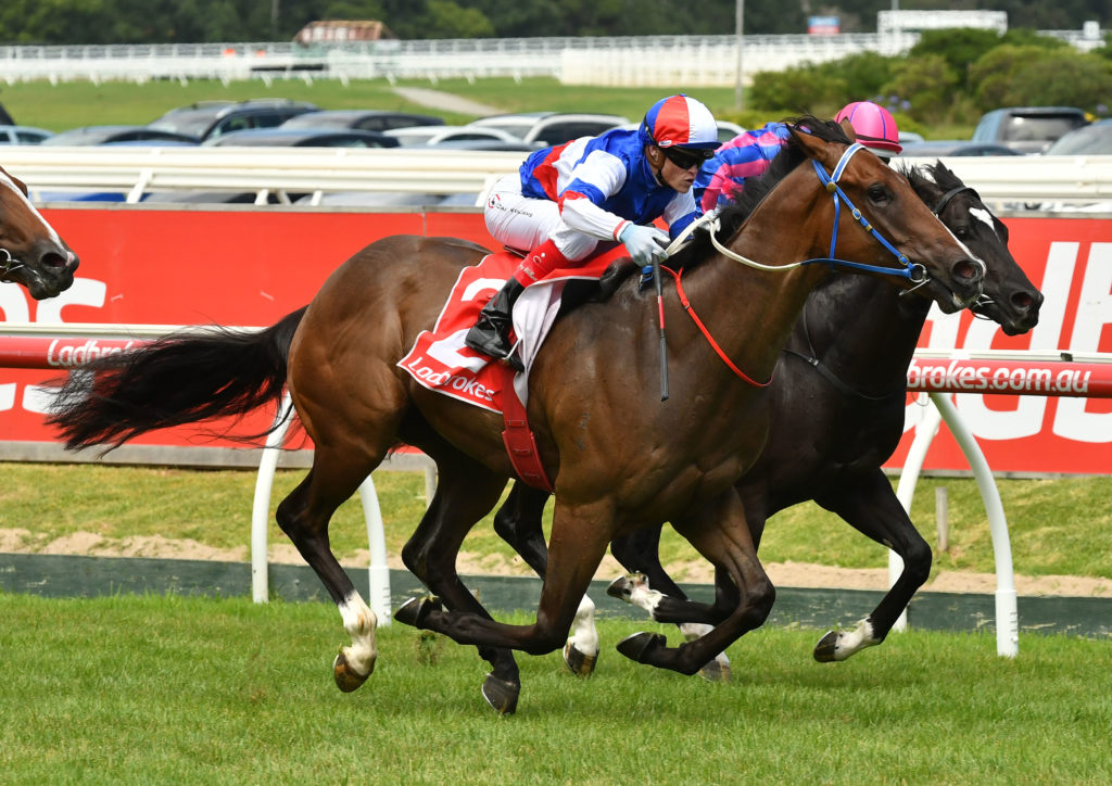 race4-Property-20170211-6815 | Just Horse Racing