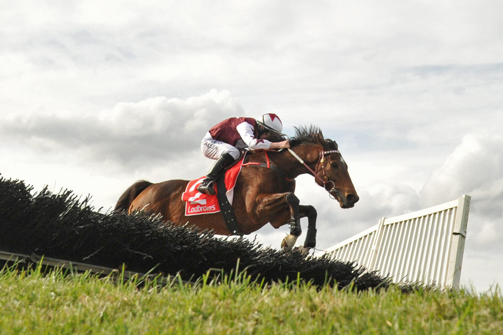 Renew | Just Horse Racing