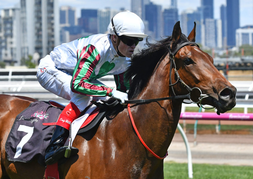 race4-divinemrartie_2332 | Just Horse Racing