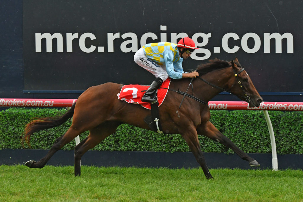 Booker | Just Horse Racing