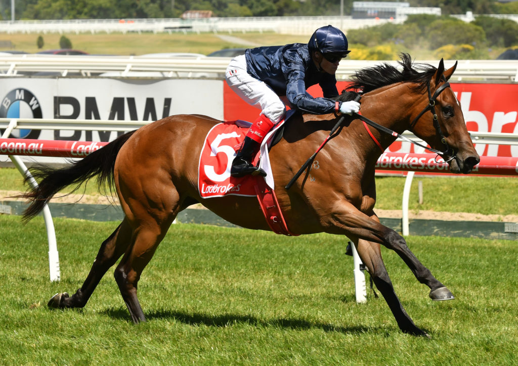 race5-Formality-20170402-6322 | Just Horse Racing