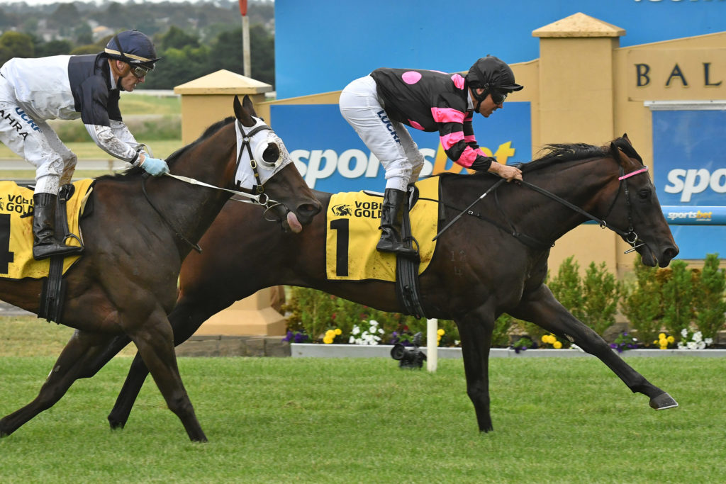 race5-Tezlah-251117-3808 | Just Horse Racing