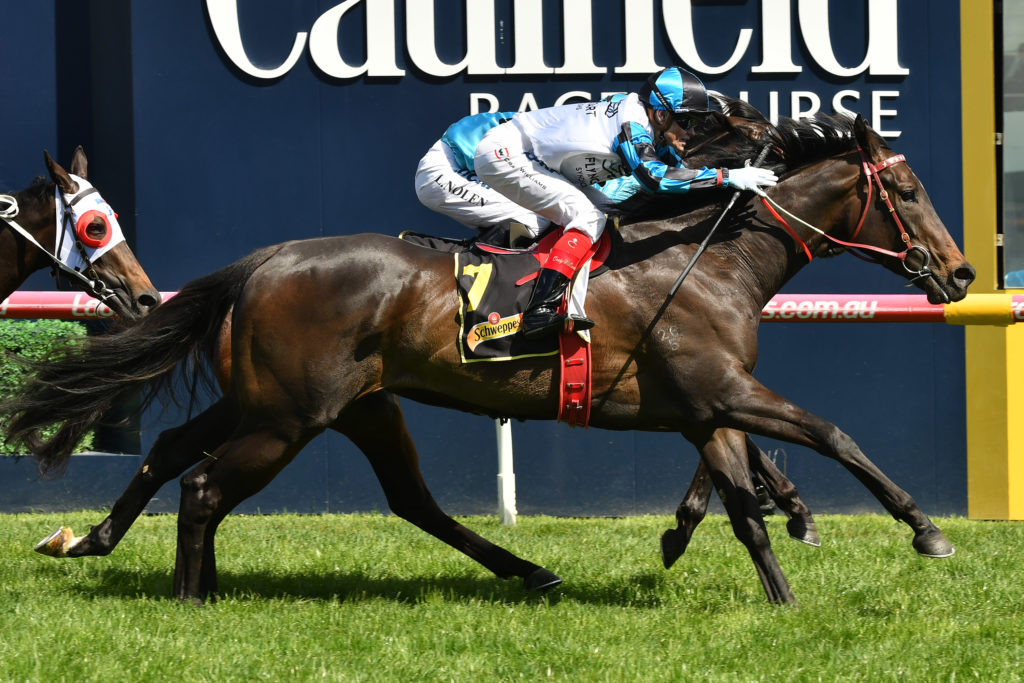 Amphitrite | Just Horse Racing