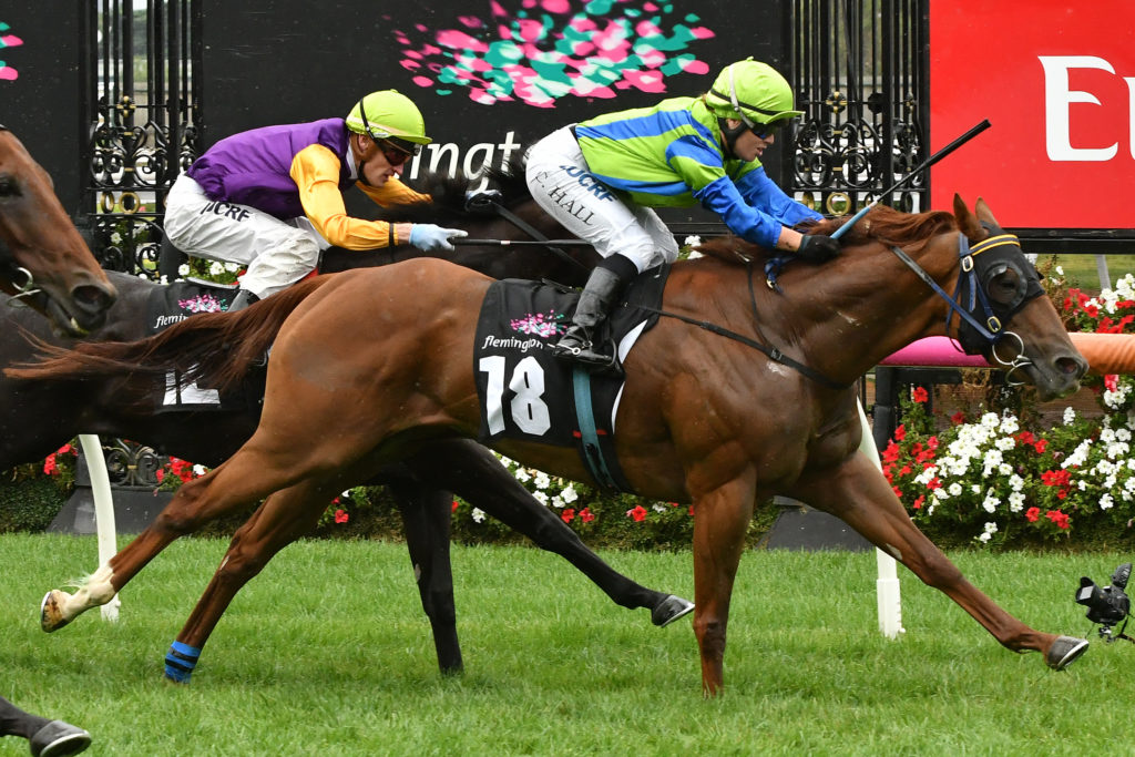 Annrhon | Just Horse Racing