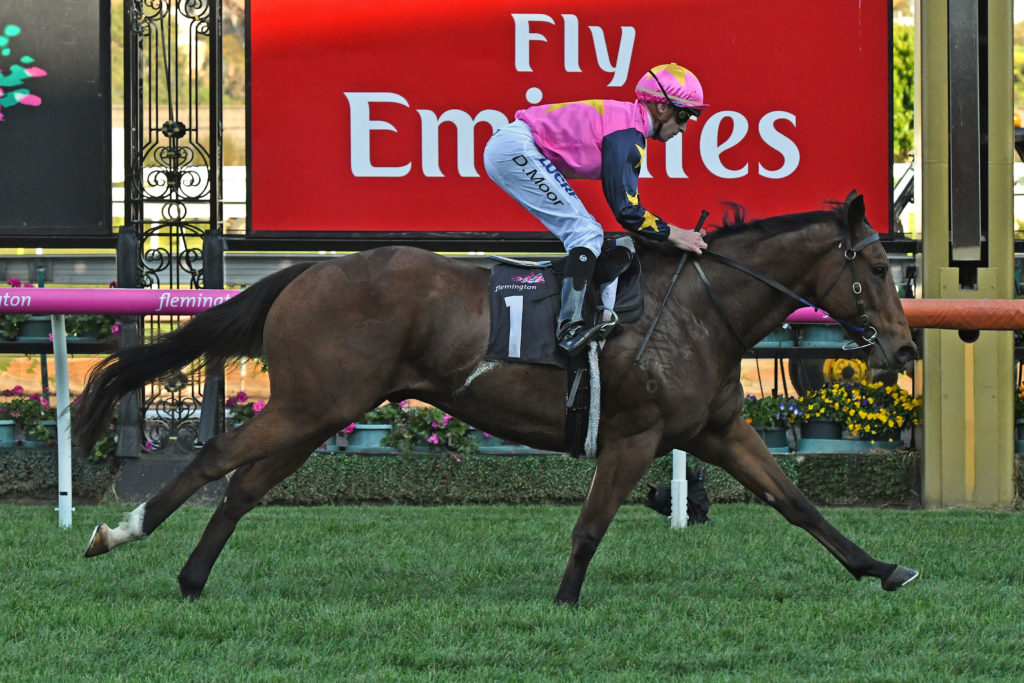De Little Engine | Just Horse Racing