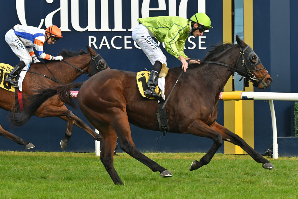 Self Sense | Just Horse Racing