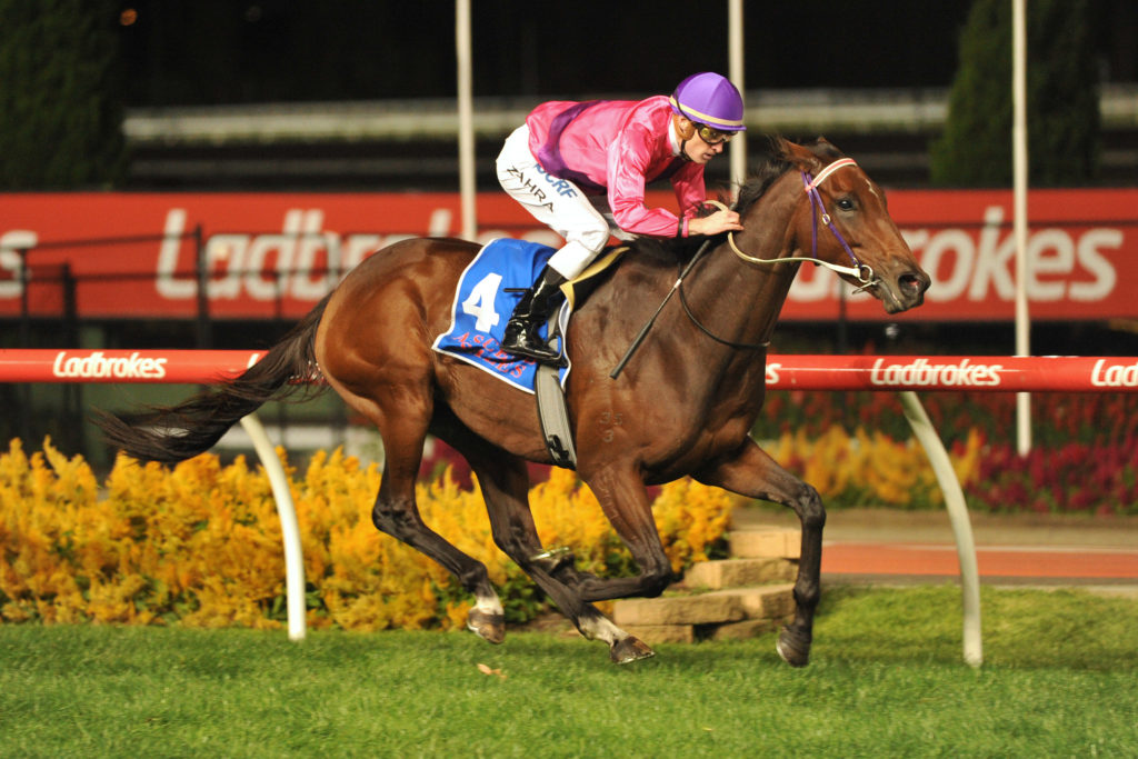 Spanish Reef | Just Horse Racing