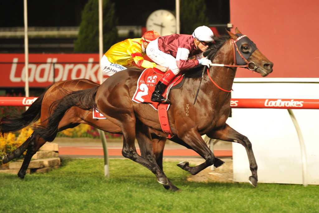 Hellbent | Just Horse Racing