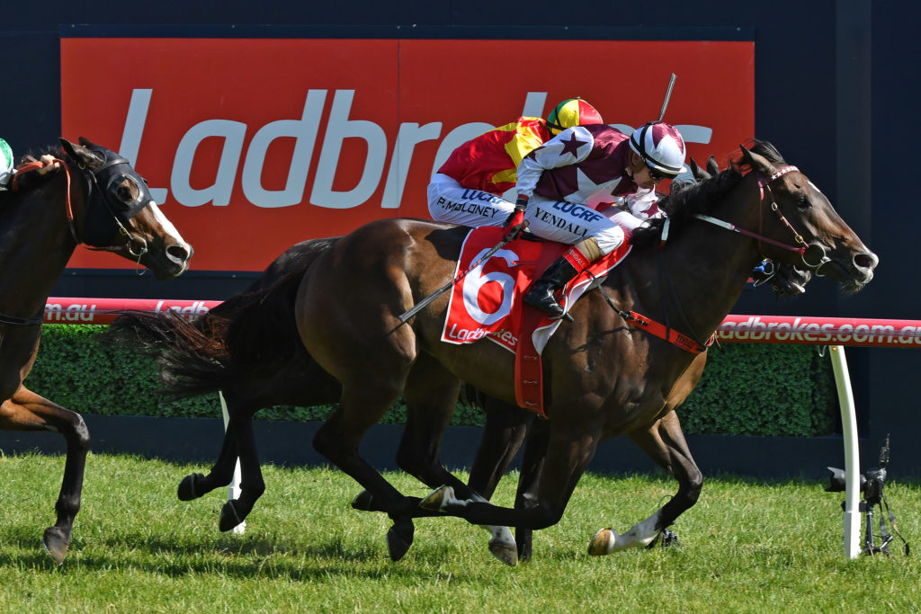 race7-StellarCollision-261217-5481 | Just Horse Racing