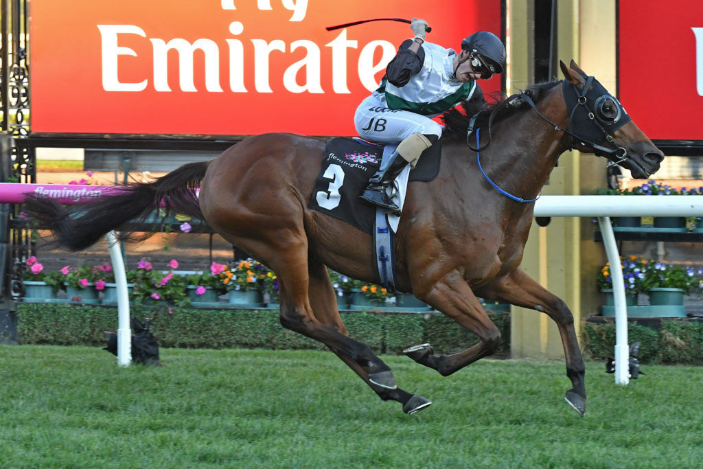 Extra Zero | Just Horse Racing
