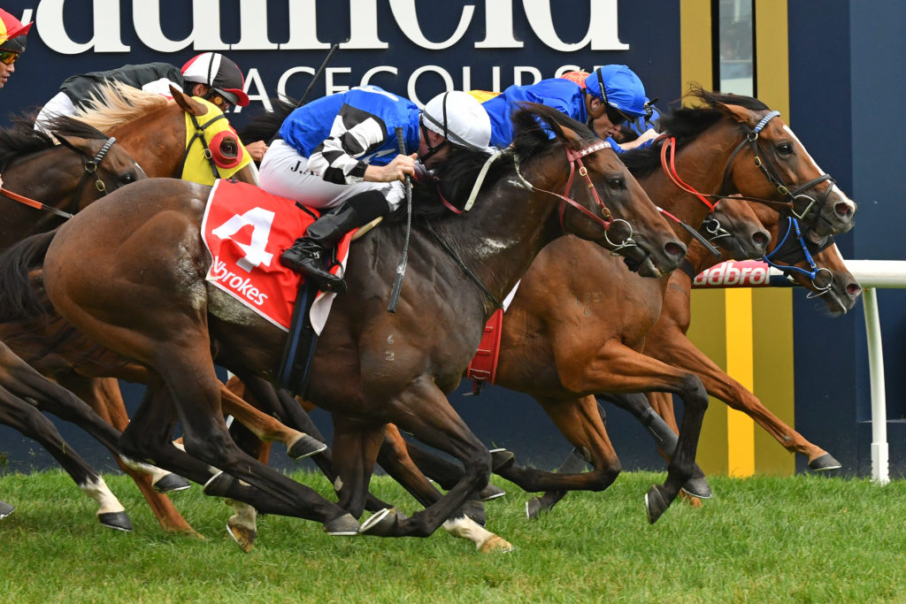 Hartnell | Just Horse Racing