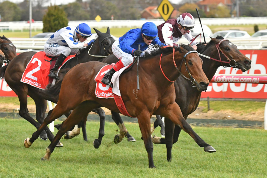 race8-OsborneBulls-20180818-1494 | Just Horse Racing