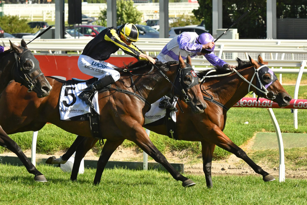 Prussian Vixen | Just Horse Racing