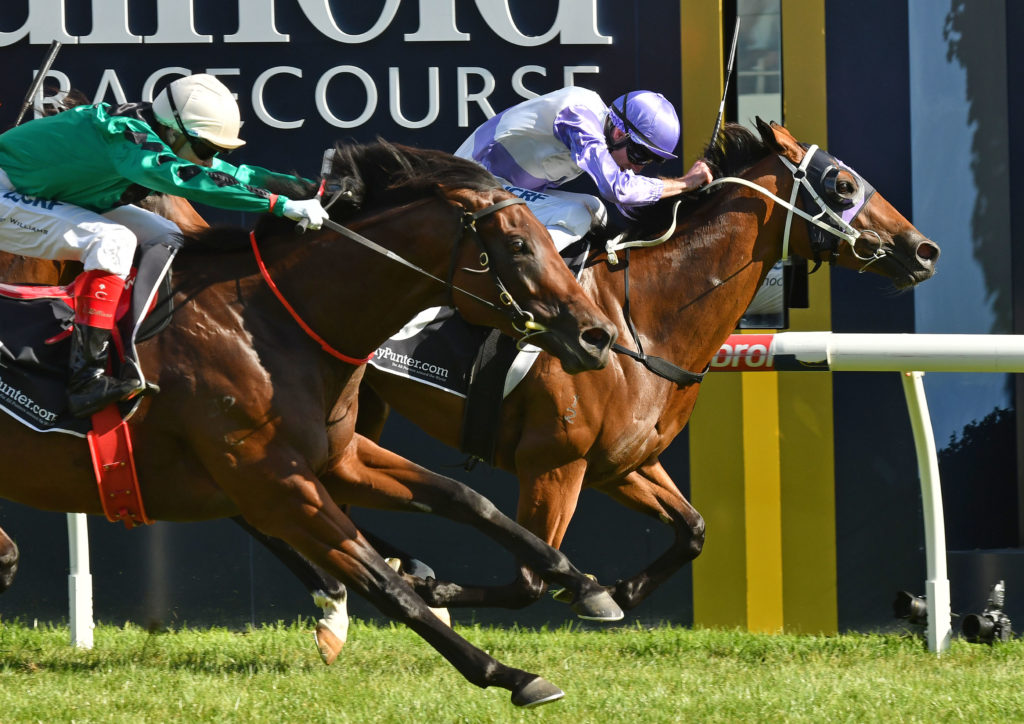 race9-PrussianVixen-20170211-7163 | Just Horse Racing