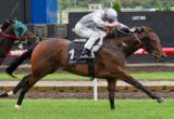 Rescue Mission winning the Rockwell Automation Handicap at Moonee Valley - photo by Race Horse Photos Australia