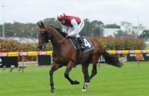 Retrieve rates very well in Saturday's Tulloch Stakes at Rosehill racecourse - Photo by Steve Hart