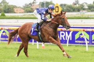 sepoy-blue-diamond-stakes Sepoy - Photo by Steve Hart