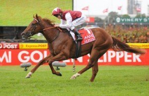 Sepoy wins the 2011 Golden Slipper at Rosehill racecourse - Photo by Steve Hart