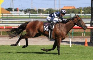 Shamrocker taking out the 2011 Australian Guineas - Photo by Steve Hart