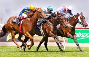 Flemington Raceday | Just Horse Racing Shopaholic winning the Vanity at Flemington - photo by Race Horse Photos Australia
