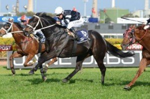 sincero-2011-george-main-stakes | Just Horse Racing Sincero wins the 2011 George Main Stakes - Photo by Steve Hart