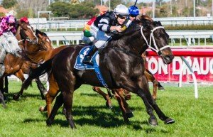 Caulfield Raceday | Just Horse Racing