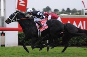 After failing last start the 3YO son of Umatilla has won today's headline race the 2011 Stradbroke Handicap - Photo by Steve Hart