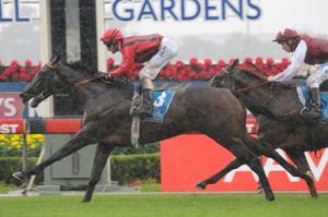 Smart Missile beats odds on favourite Sepoy to win the 2011 Todman Stakes at Rosehill racecourse - Photo by Steve Hart