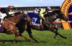 so-you-think-yalumba-stakes | Just Horse Racing So You Think - sportpix.com.au