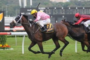 Stand To Gain winning the 2011 Sydney Cup at Randwick racecourse - Photo by Steve Hart