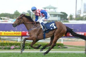 Streama winning the 2011 Tea Rose Stakes - Photo by Steve Hart