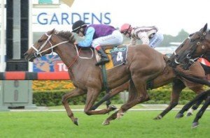 Chad Schofield winning on Titbit at Rosehill on Saturday - Photo by Steve Hart