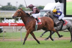 Tullamore has taken out today's Brisbane Cup - Photo by Steve Hart