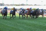 Adelaide, Cox Plate - Photo by Sarah Ebbett